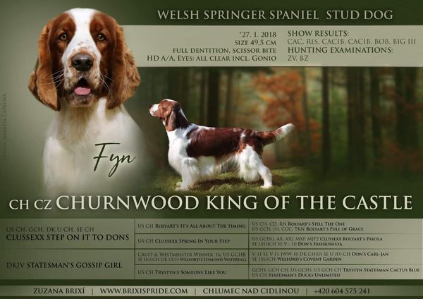 Churnwood King Of The Castle “Fyn”